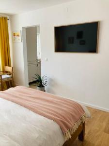 a bedroom with a bed and a flat screen tv at Warm and cozy studio flat near Straja in Uricani