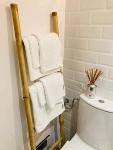 a towel rack in a bathroom next to a toilet at Warm and cozy studio flat near Straja in Uricani