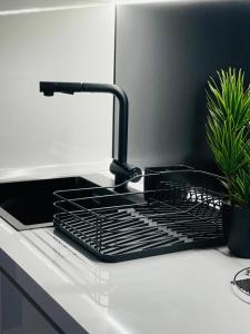 A kitchen or kitchenette at Loft Terracina
