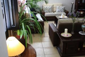 a living room with a couch and tables and plants at Santuario San José in San José