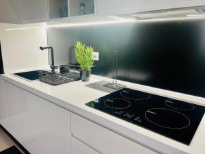 A kitchen or kitchenette at Loft Terracina