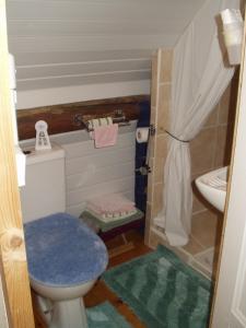 Baño pequeño con aseo y lavamanos en Chambre d'Hôtes de La Galaisière, en Préaux