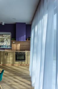 Kuchyň nebo kuchyňský kout v ubytování Babvirág Porta Fonyódliget