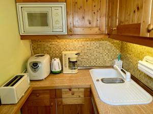 a small kitchen with a sink and a microwave at The Mountain Home in Hermagor