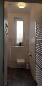 a bathroom with a toilet and a window at Zur Eiche - Ferienwohnung in Böhlen