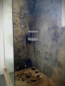 W łazience znajduje się prysznic ze szklanymi drzwiami. w obiekcie Quinta Terramadome: Dome incomum & responsável w mieście Penamacor