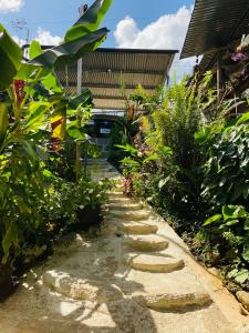 Photo de la galerie de l'établissement Casita Tangara con balcón y agua caliente, à Drake