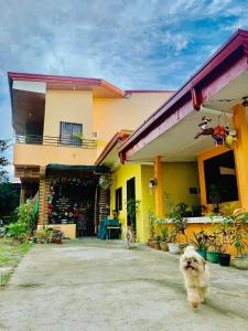 Ein Hund steht vor einem Haus in der Unterkunft Perlies Inn Studio House in Tanay