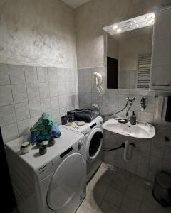 a bathroom with a washing machine and a sink at Midori Zlatar in Nova Varoš