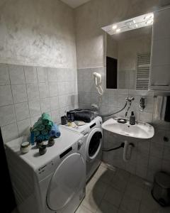 Un baño con lavadora y lavabo. en Midori Zlatar, en Nova Varoš