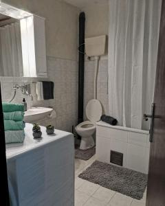 a bathroom with a toilet and a sink at Midori Zlatar in Nova Varoš