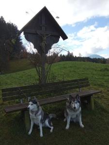 Wohnung Rheintal im Alpenvorland kisállat-vendégei