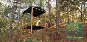 ein Baumhaus mitten im Wald in der Unterkunft Brisas de San Ignacio in San Ignacio