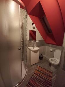 a bathroom with a shower and a toilet and a sink at Noclegi u Celiny i józefa in Łapszanka