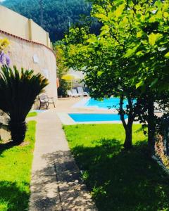 a garden with a tree and a swimming pool at Residência Iris in Geres
