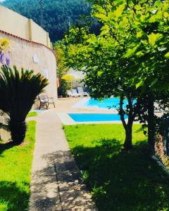 un jardín con un árbol y una piscina en Residência Iris, en Gerês