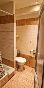 a bathroom with a toilet and a sink and a shower at Hotel Zimní stadion in Nymburk