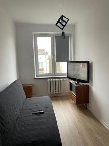 Televízia a/alebo spoločenská miestnosť v ubytovaní Apartament Piesza