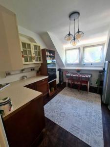 Køkken eller tekøkken på Appartement centre ville terrasse jardin garage chez Priscilla