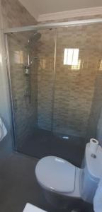 ein Bad mit einem WC und einer Dusche mit einer Glastür in der Unterkunft PLANTA BAJA EN SANTA POLA in Santa Pola