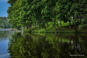 a body of water with trees and trees reflecting in it at Sodybos Narūnas namelis po egle 