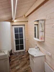 a bathroom with a sink and a toilet and a mirror at Sodybos Narūnas namelis po egle 