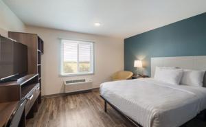 a bedroom with a bed and a flat screen tv at WoodSpring Suites Cedar Park - Austin North in Cedar Park