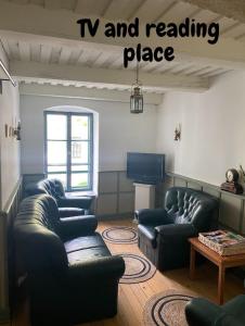 ein Wohnzimmer mit Sofas, einem TV und einem Leseplatz in der Unterkunft Postel Hostel in Balatonfüred