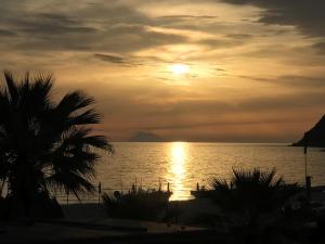 una puesta de sol sobre el océano con una palmera en La Casa del Professore, en Nicotera Marina