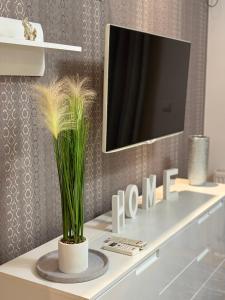 a tv sitting on top of a white table with a plant at Central Luxury Suites in Bijeljina