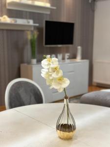 a glass vase with white flowers in it on a table at Central Luxury Suites in Bijeljina