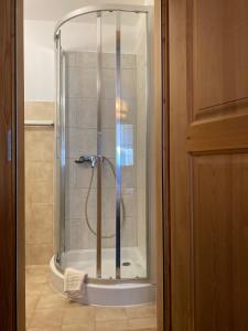 y baño con ducha y puerta de cristal. en Hotel Corona en Vicosoprano