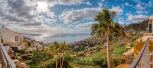 a palm tree on a hill next to the ocean at Palm Tree House by Amazing Madeira in Câmara de Lobos