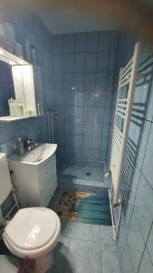 bagno piastrellato blu con servizi igienici e lavandino di Apartament Cosmin Orsova a Orşova