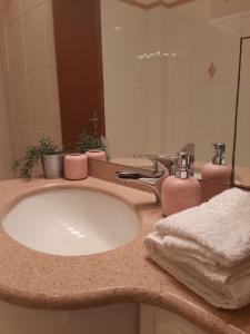 a bathroom counter with a sink and a mirror at Milano Linate Airport Apartment in Peschiera Borromeo