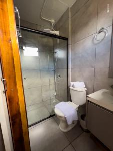 uma casa de banho com um chuveiro, um WC e um lavatório. em Pousada Container e Spa Mina Beer em Ametista do Sul