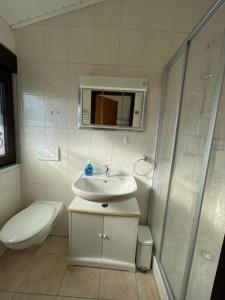 a bathroom with a sink and a shower and a toilet at Eckwarderhörne Objekt B 15 in Großwürden