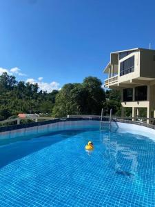 a rubber duck in a swimming pool next to a building at Haven Hill Place (New!!!) 