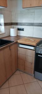 Kuchyň nebo kuchyňský kout v ubytování Rafaela Apartment