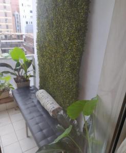 un banco negro sentado en un balcón con plantas en Hermoso departamento en Nueva Córdoba 1 hab 3 personas Obispo Oro 344 en Córdoba