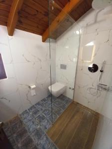 a bathroom with a glass shower with a toilet at Villa Emily in Syvota +12 photos