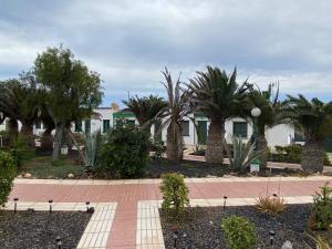 CASA SANDRA COCOSOL外面的花园
