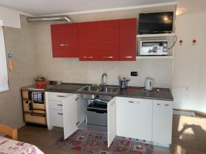 a kitchen with white cabinets and a sink and a microwave at Appartamento Vacanze Chantal in Peio