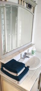 um lavatório de casa de banho com espelho e toalhas em Le Bout des Dunes, baie de Somme em Saint-Quentin-en-Tourmont