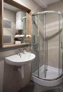 bagno con lavandino e doccia di Apartman DUSA a Kopaonik
