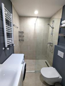 Ένα μπάνιο στο Evdo Apartments F1 Luxury House