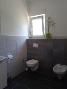 a bathroom with a toilet and a sink and a window at Seoski turizam Stari mlin na Korani room 1 in Karlovac