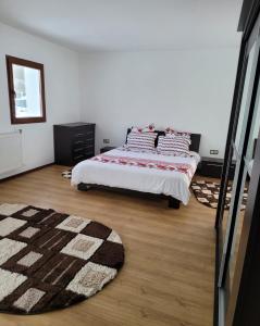 Vulcan的住宿－Casa de pe vale，一间卧室配有一张床和地毯