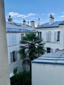 a palm tree in front of white buildings at Cosy T2 in Neuilly sur Seine metro 1 in Neuilly-sur-Seine