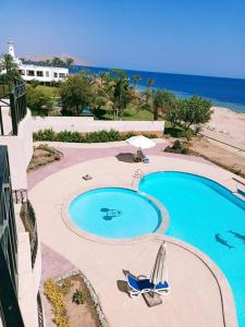 una piscina con sillas, una sombrilla y el océano en Doudy, en Sharm El Sheikh